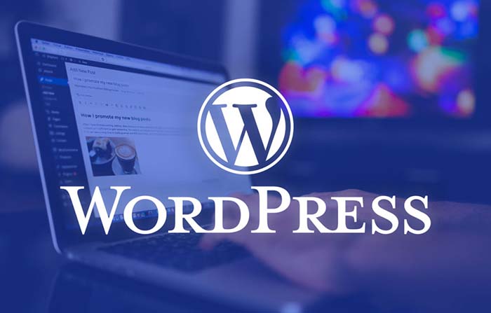 What make WordPress become a popular CMS in Web Development?
