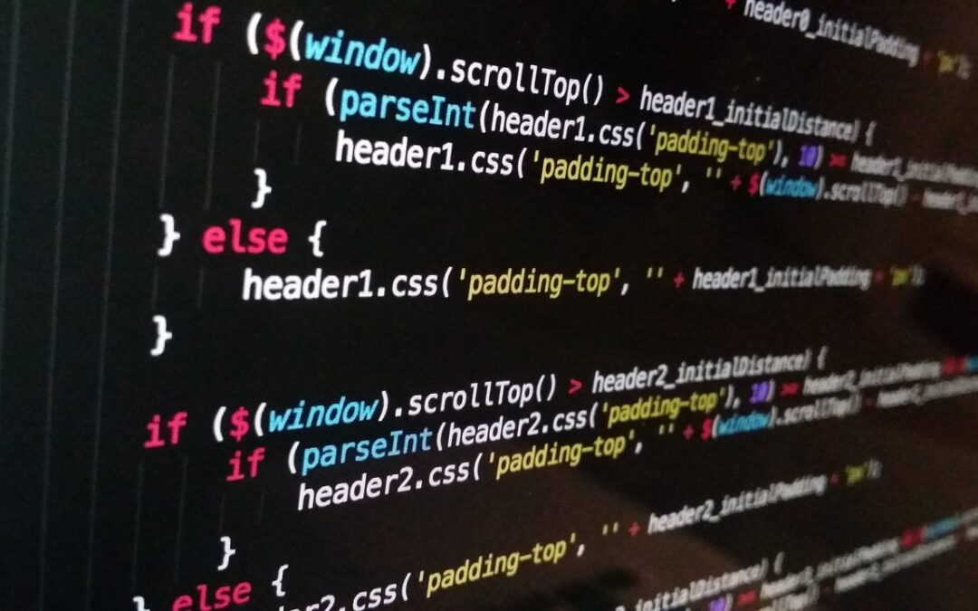 CSS padding vs margin:when to use it